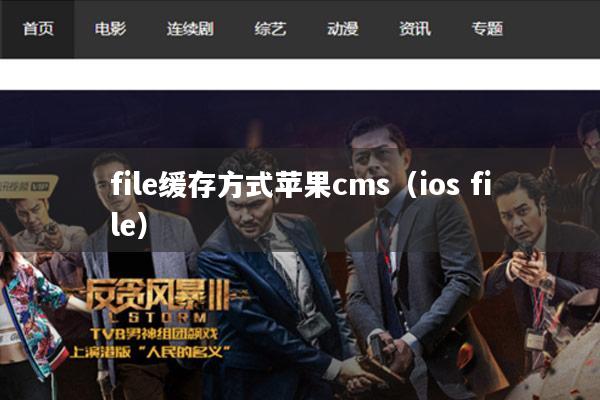 file缓存方式苹果cms(ios file)