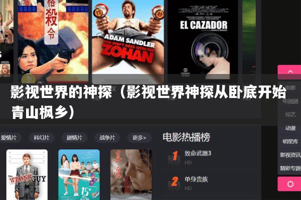 影视世界的神探(影视世界神探从卧底开始 青山枫乡)